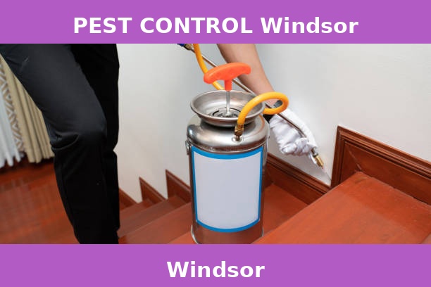 PEST CONTROL Windsor